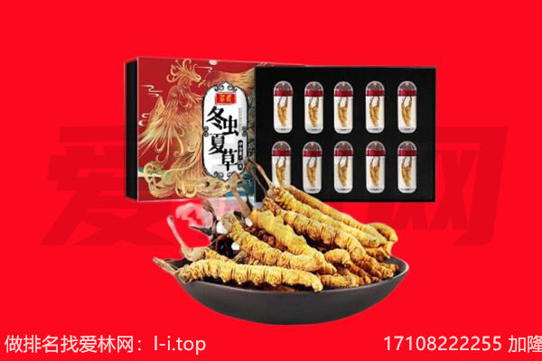 文山西畴县回收虫草.jpg